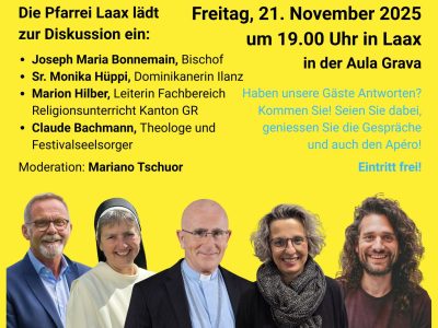 Flyer Podiumsdiskussion D